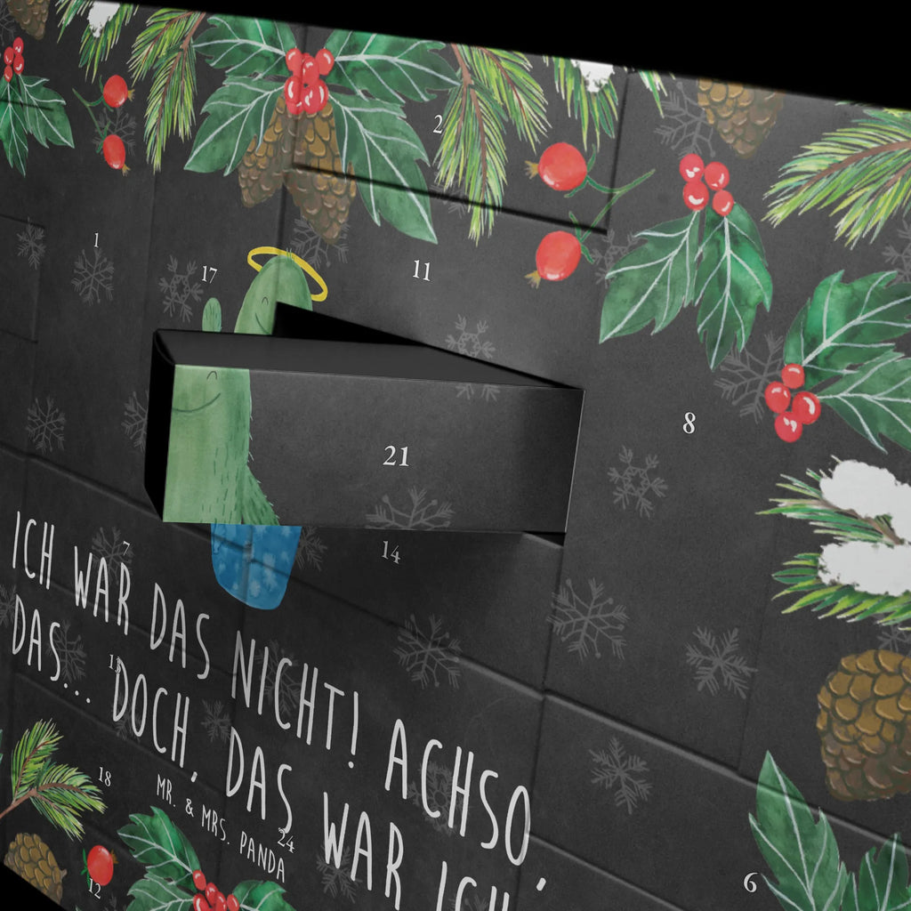  Kaktus Święty Kaktusy