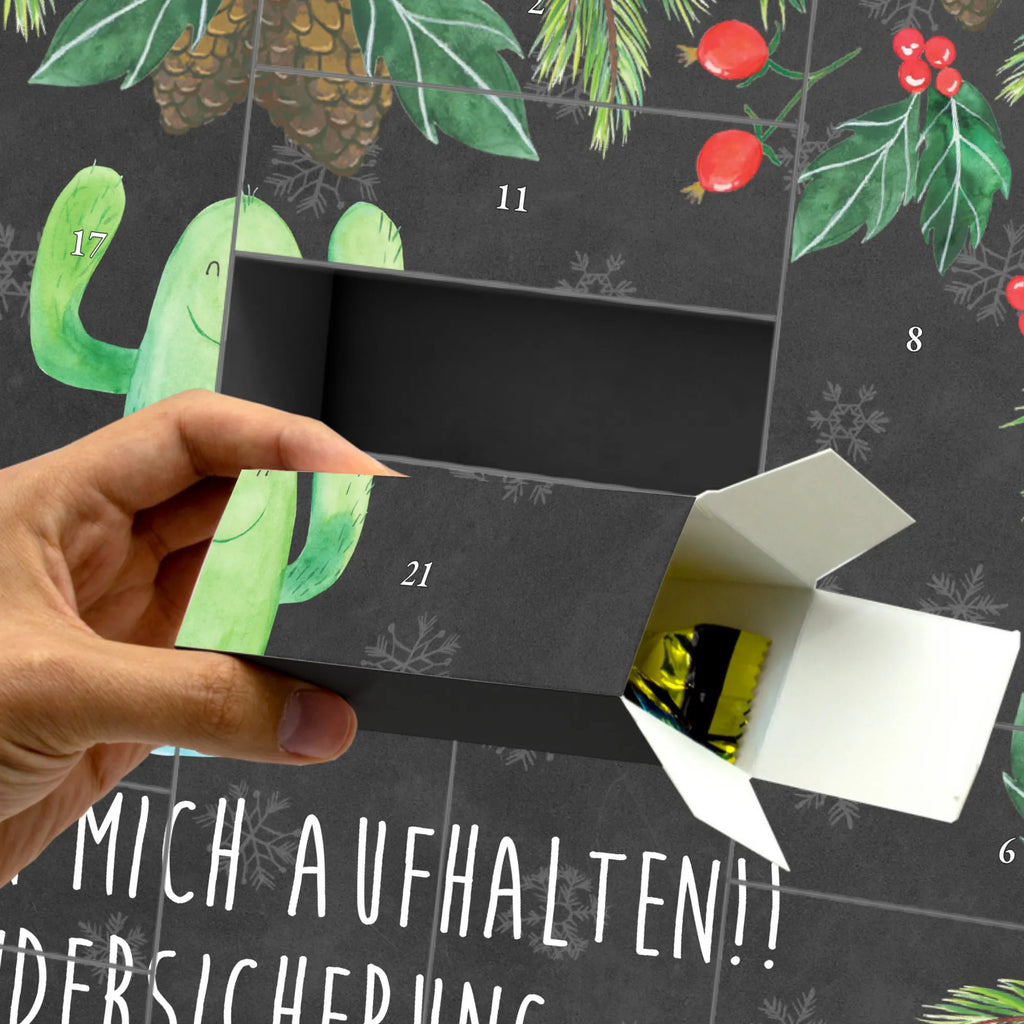  kaktus Szczęśliwy Kaktusy