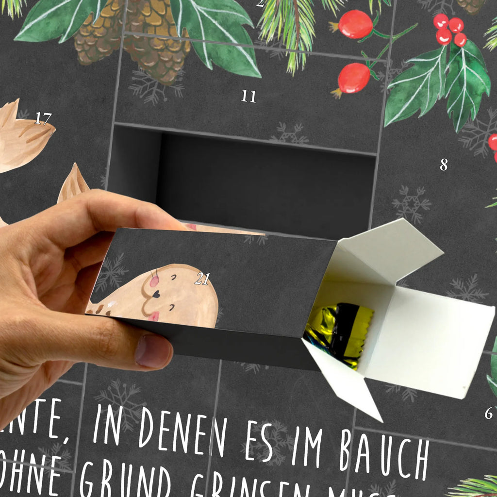 Adventskalender Selbst Befüllen Robbe Liegen Weihnachtskalender, Karton Adventskalender, Adventskalender Zum Selbst Befüllen, Adventskalender, Adventskalender Zum Aufstellen, Geschenkekalender, Adventskalender für Erwachsene, Befüllbarer Adventskalender, Weihnachtskalender Schachteln, Adventskalender mit 24 Schachteln, Adventskalender Box, Adventskalender leer, Adventskalender Karton, Adventskalender Schachteln, Weihnachtskalender Zum Befüllen, Geschenke Adventskalender, Weihnachtskalender Selbst Befüllen, Weihnachtskalender Boxen, Adventskalender Boxen, Adventskalender Zum Füllen, Tisch Adventskalender, Erwachsenen Adventskalender, Leerer Adventskalender, Schachtel Adventskalender, Adventskalender 24 Boxen, Adventskalender Deko, Adventskalender Zum Befüllen, Adventskalender Schachtel, Adventskalender Selbst Befüllen, Diy Adventskalender, Adventskalender ohne Inhalt, Kalender Zum Befüllen, Bastel Adventskalender, Tiermotive, Tiere, Gute Laune, Lustige Sprüche, Nordsee, Ostsee, Seehund, Robbe, Meerestier, Lachen, Strand, Robben, Freude