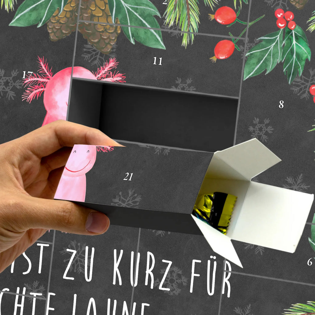 Fillable advent calendar axolotl Happy salamander, Axelotl, marine animals, Mexican walking fish, amphibian, good mood, tail