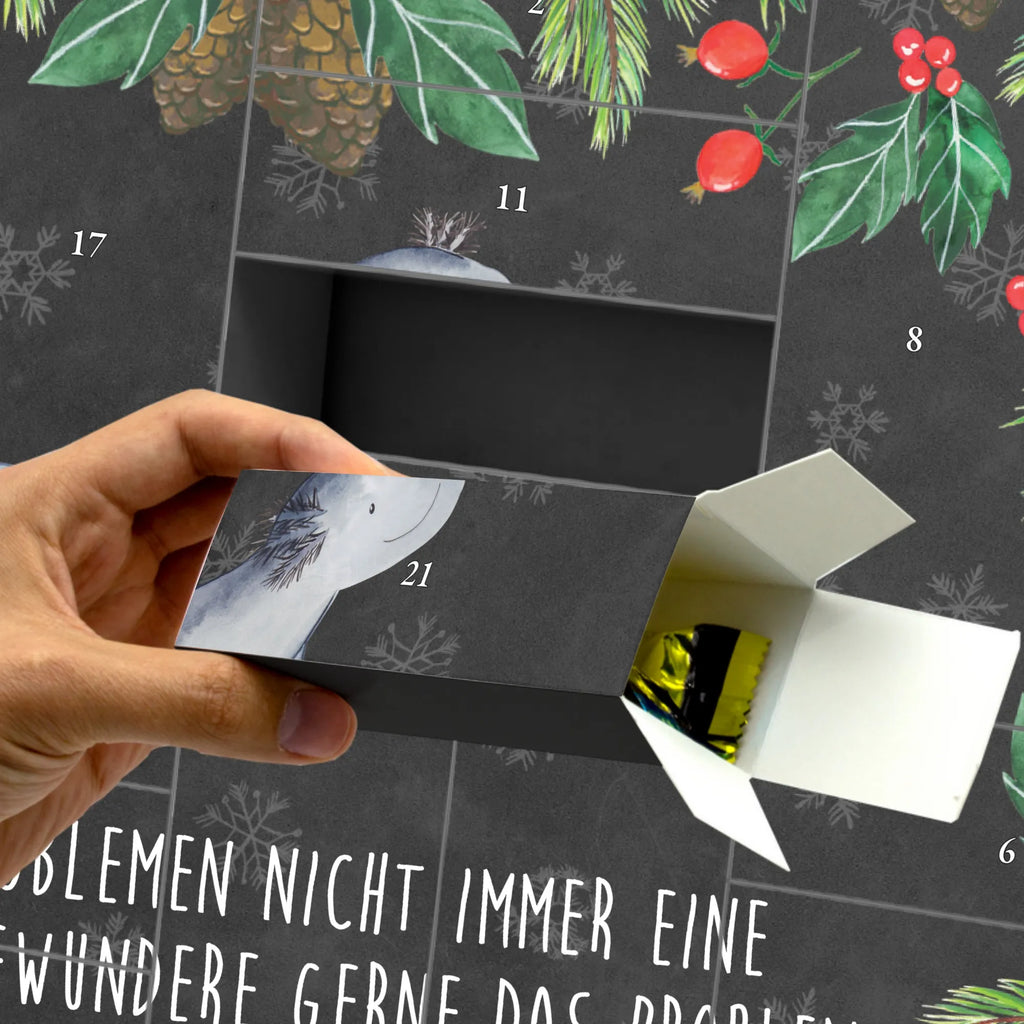 Fillable advent calendar axolotl To swim salamander, Axelotl, marine animals, Mexican walking fish, solutions, amphibians, tail, problems