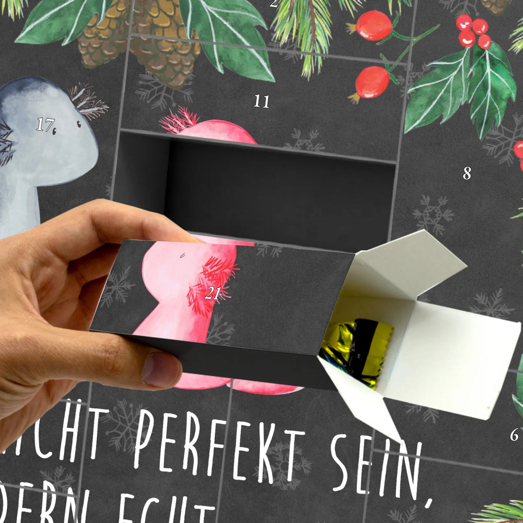 Fillable advent calendar axolotl Love salamander, Axelotl, marine animals, Mexican walking fish, proof of love, amphibian, friend, tail, great love, fiancé, anniversary, valentine's day, husband