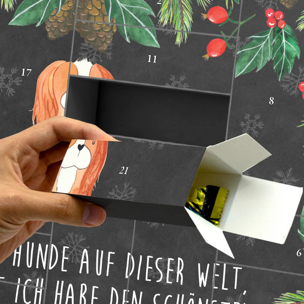 Fillable advent calendar Dog Cavalier King Charles Spaniel dog breed, hound, bag with dog print, mutt, what do you give a dog lover, dog mama, Christmas gifts for dogs, dog decorative items, funny gifts for dog owners, dog sayings, love dogs, woof, love for dogs, gifts for dogs, most beautiful dog, Sayings