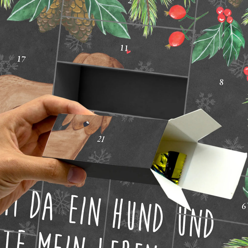  pies Dog niemiecki Pies, właściciel psa, rasa psa, miłośnik zwierząt, zwierzę domowe, motyw psa, powiedzenia