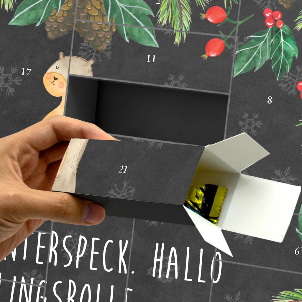  wydra brzuch wydra, Kuna, morska wydra