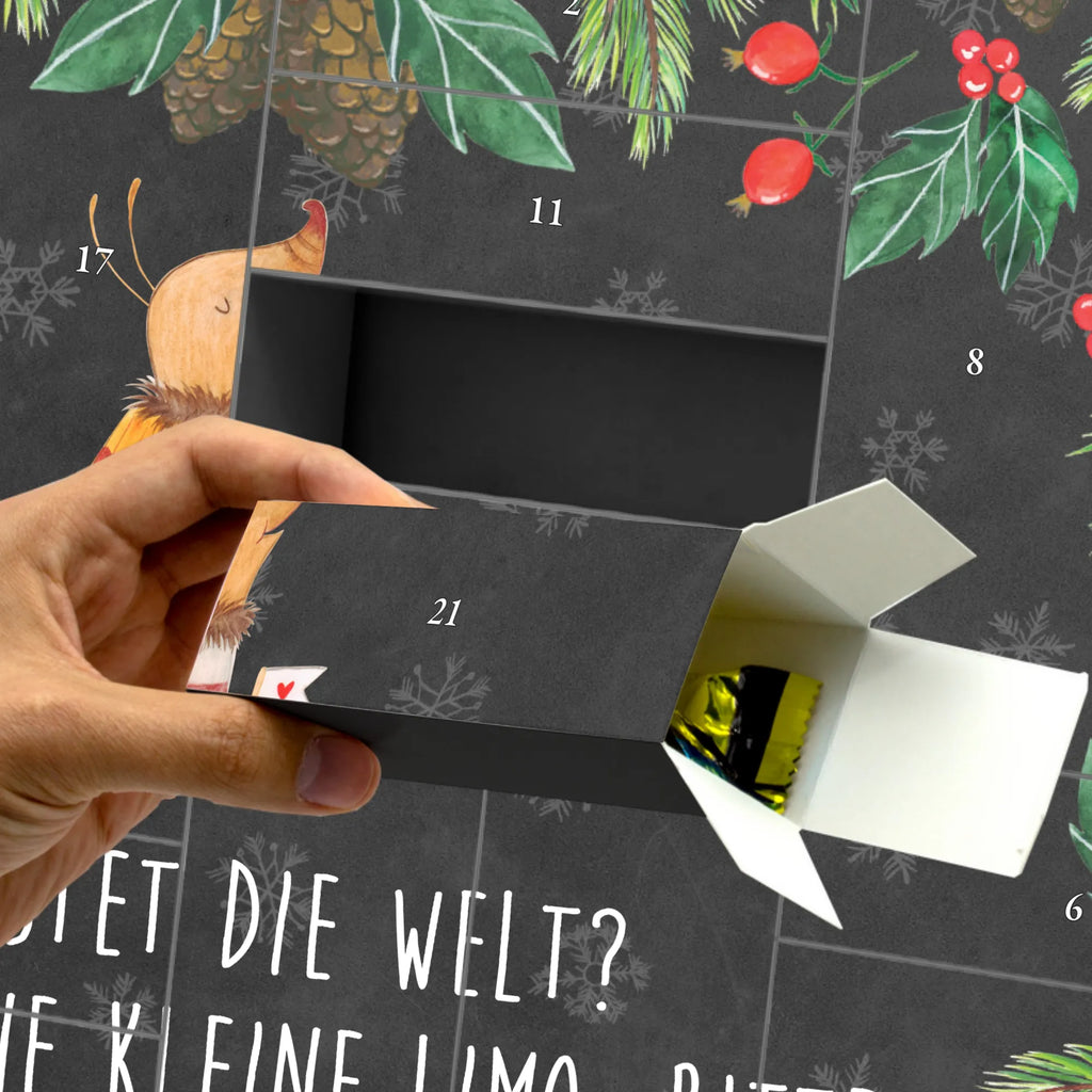 Fillable advent calendar Moth flag card, gift ideas, gifts, animal lover, special gifts, cute animal motives, hand drawn, small animals, good mood, cute, funny sayings, Saying funny, Beetle, Moth, Kitchen decoration, How much does the world cost