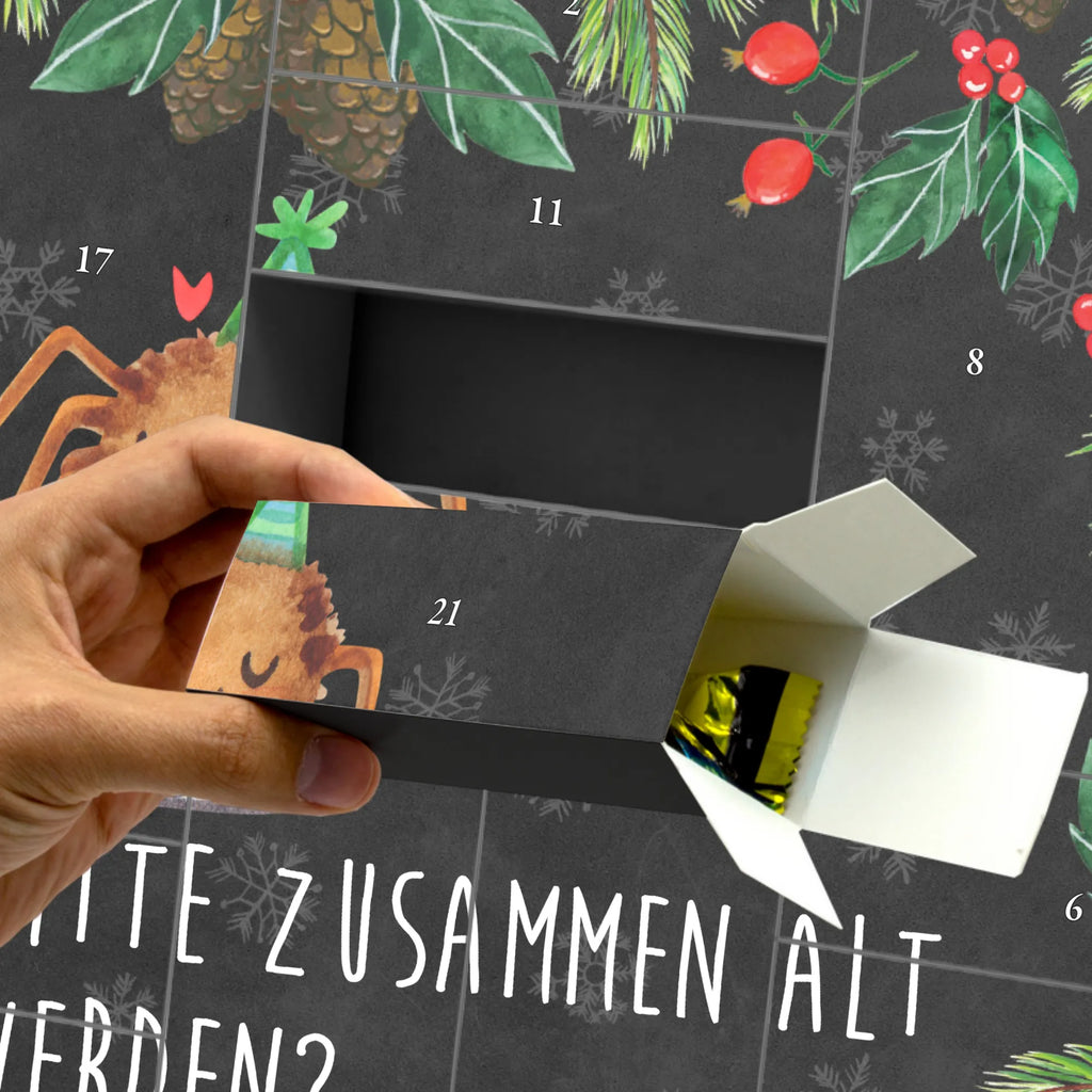 Fillable advent calendar Spider Agathe Letter Spider Agathe, Spider