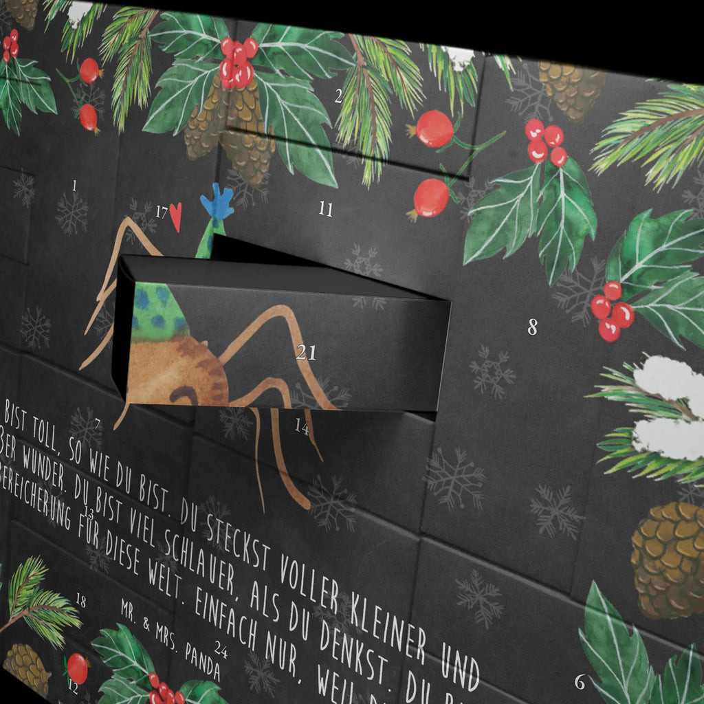  Pająk Agata Impreza Filmy, Towary, Pająk, Pająk Agathe