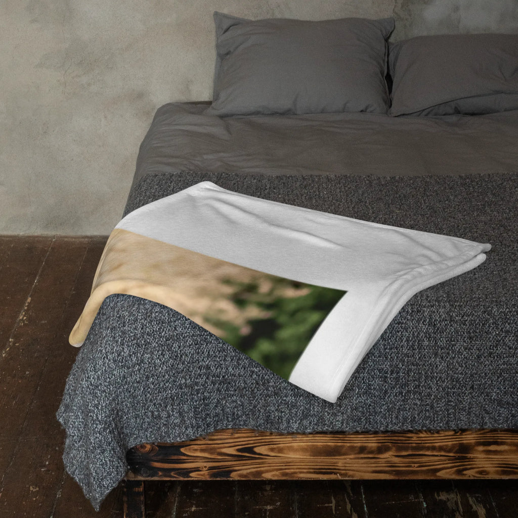 Personalisierte Foto Decke Otter Valentine Personalisierte Foto Decke, Liebe, Partner, Freund, Freundin, Ehemann, Ehefrau, Heiraten, Verlobung, Heiratsantrag, Liebesgeschenk, Jahrestag, Hocheitstag, Geschenk für Partner, Mitbringsel, Liebesbeweis, Valentinstag, Geschenk für Freundin, für Ehemann, Geschenk für Frauen, für Männer, Hochzeitstag