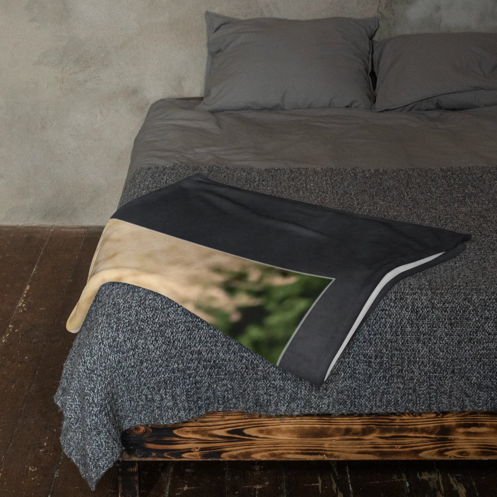 Personalized Photo Blanket penguins Cuddle Personalisierte Foto Decke, Liebe, Partner, Freund, Freundin, Ehemann, Ehefrau, Heiraten, Verlobung, Heiratsantrag, Liebesgeschenk, Jahrestag, Hocheitstag, Valentinstag, für Ehemann, Geschenk für Freundin, Geschenk für Partner, Geschenk für Frauen, Liebesbeweis, für Männer, Mitbringsel, Hochzeitstag