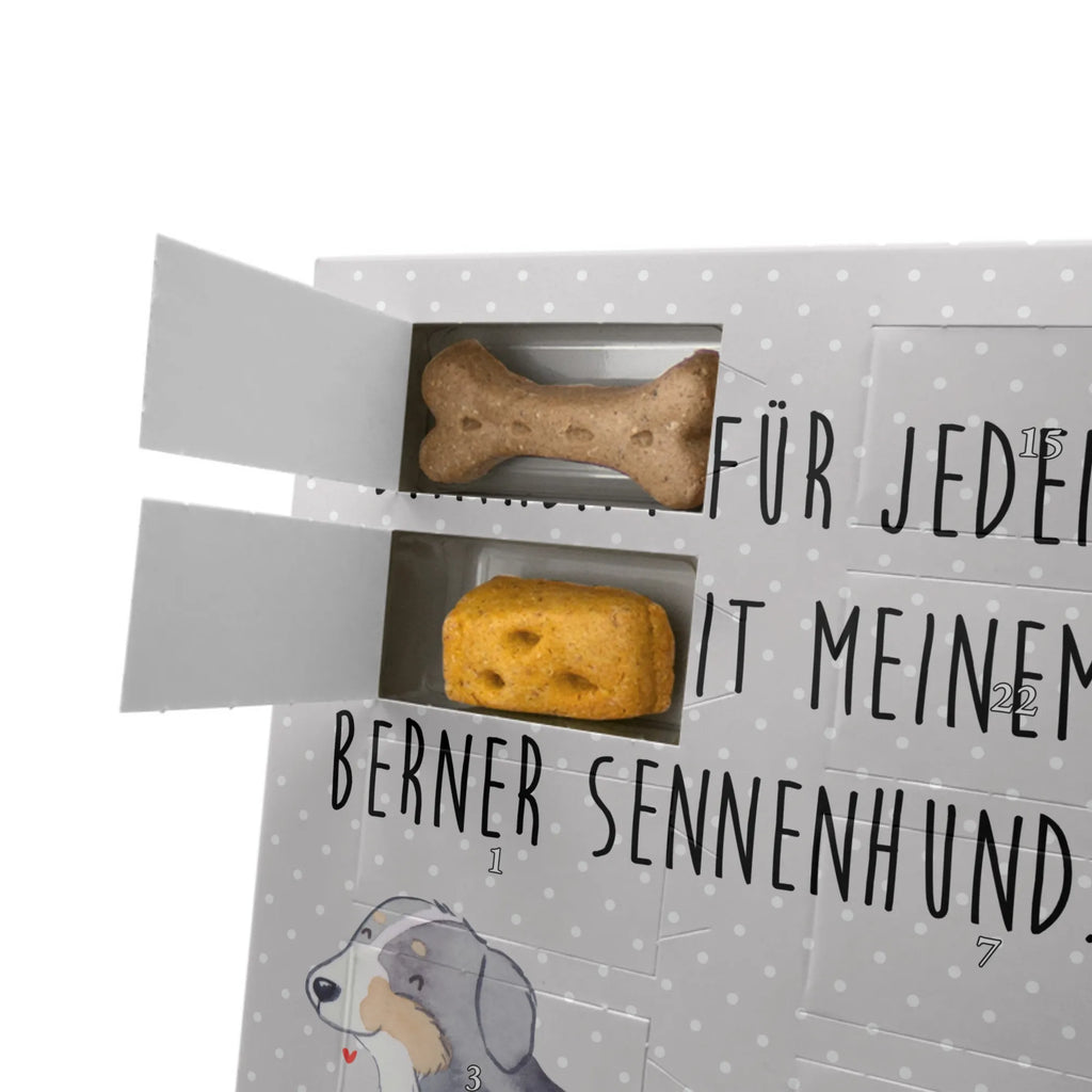 Personalisierter Hunde Foto Adventskalender Berner Sennenhund Moment Personalisierter Hunde Foto Adventskalender, Geschenk, Schenken, Hund, Hunderasse, Rassehund, Hundebesitzer, Tierfreund, Welpe, Dürrbächler, Berner Sennenhund