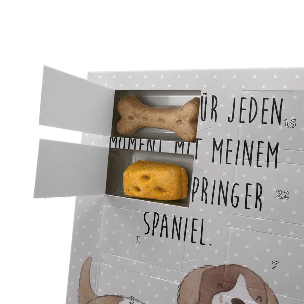 Personalisierter Hunde Foto Adventskalender English Springer Spaniel Moment Personalisierter Hunde Foto Adventskalender, Geschenk, Schenken, Hund, Hunderasse, Rassehund, Hundebesitzer, Tierfreund, Welpe, English Springer Spaniel