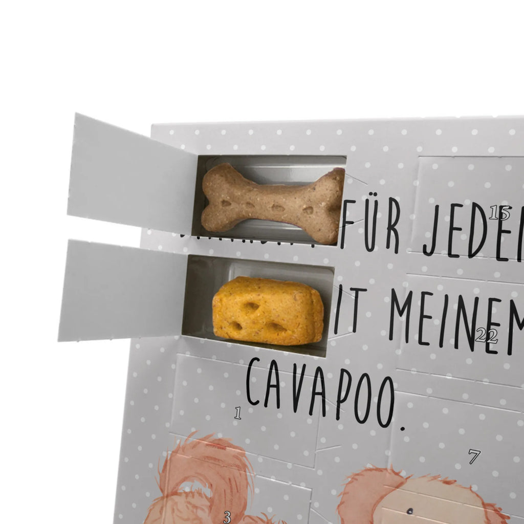 Personalisierter Hunde Foto Adventskalender Cavapoo Moment Personalisierter Hunde Foto Adventskalender, Geschenk, Schenken, Hund, Hunderasse, Rassehund, Hundebesitzer, Tierfreund, Welpe, Cavoodle, Cavapoo