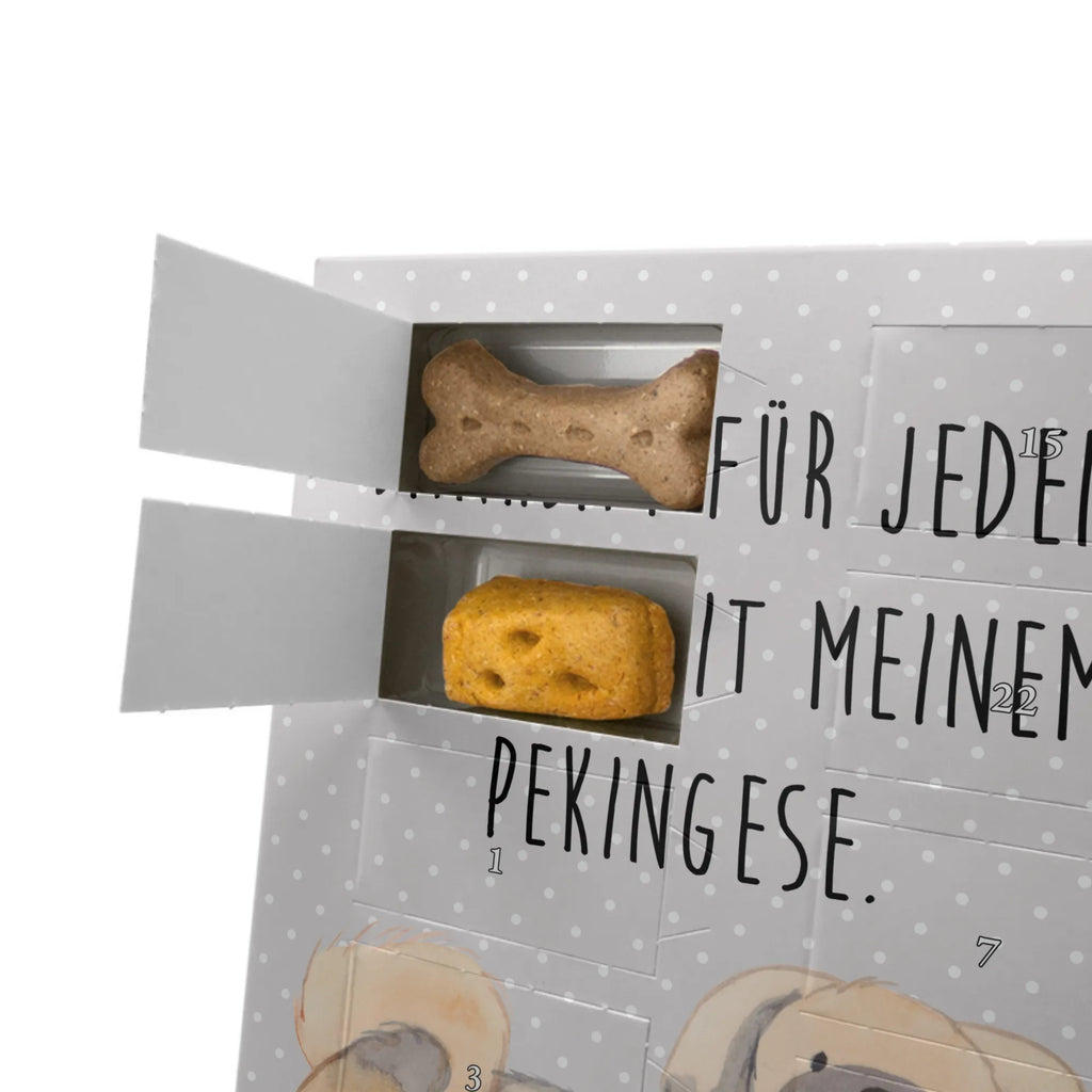 Personalisierter Hunde Foto Adventskalender Pekingese Moment Personalisierter Hunde Foto Adventskalender, Geschenk, Schenken, Hund, Hunderasse, Rassehund, Hundebesitzer, Tierfreund, Welpe, Peking-Palasthund, Pekinese, Pekingese