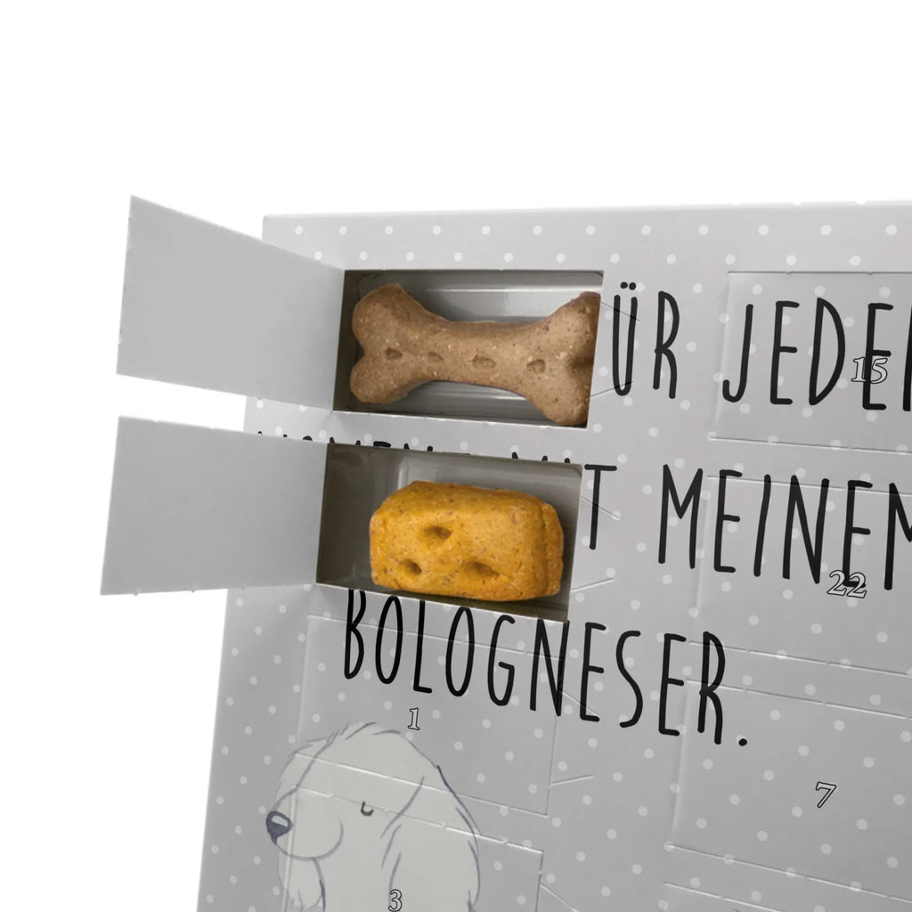 Personalisierter Hunde Foto Adventskalender Bologneser Moment Personalisierter Hunde Foto Adventskalender, Geschenk, Schenken, Hund, Hunderasse, Rassehund, Hundebesitzer, Tierfreund, Welpe, Bologneser