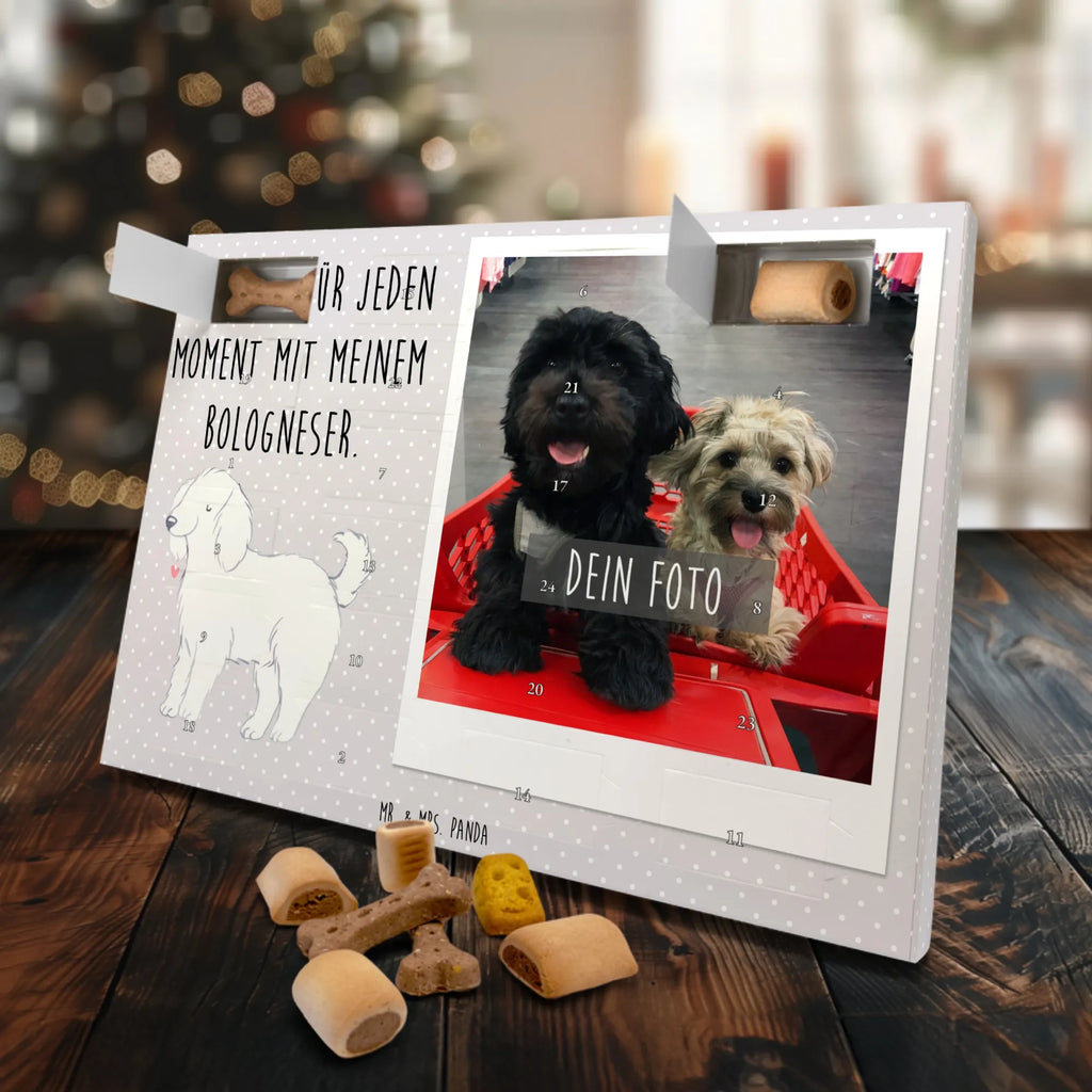 Personalisierter Hunde Foto Adventskalender Bologneser Moment Personalisierter Hunde Foto Adventskalender, Geschenk, Schenken, Hund, Hunderasse, Rassehund, Hundebesitzer, Tierfreund, Welpe, Bologneser