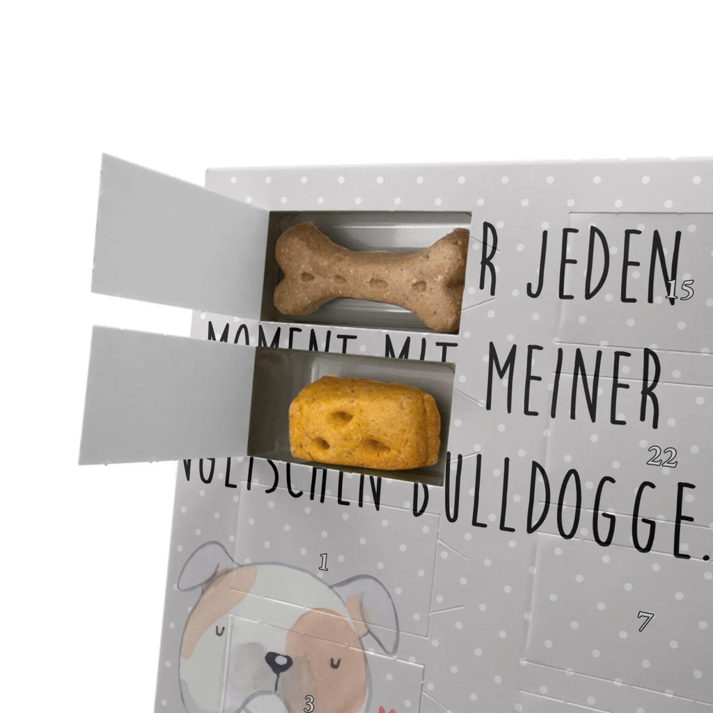 Personalisierter Hunde Foto Adventskalender Englische Bulldogge Moment Personalisierter Hunde Foto Adventskalender, Geschenk, Schenken, Hund, Hunderasse, Rassehund, Hundebesitzer, Tierfreund, Welpe, Englische Bulldogge, English Bulldog