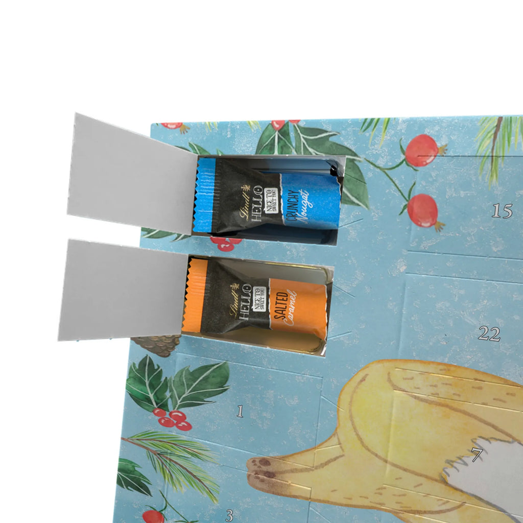 Adventskalender Fuchs Lesen advent kalender, schokoladenkalender, Weihnachtskalender Schokolade, pralinen adventskalender, schoko kalender, Adventskalender Schokolade, schokoladen kalender, kalender schokolade, süßigkeiten adventskalender, adventskalender süßigkeiten, schokokalender, Weihnachtskalender, adventskalender mit pralinen, Schokoladen Adventskalender, Adventskalender, weihnachtskalender schoko, adventskalender pralinen, schokolade adventskalender, adventskalender mit schokolade, Schoko Adventskalender, süßigkeiten kalender, schoko weihnachtskalender, adventskalender mit süßigkeiten, Sportart, Geschenk, Hobby, Danke, Dankeschön, Auszeichnung, Gewinn, Sportler, Sport, Schenken, lesen, Bücherwurm, Bücher lesen