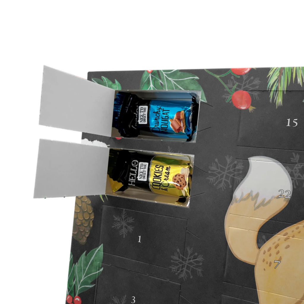 Chocolate advent calendar Fox dog training giving, Gift, thank you, award, profit, athlete, Dog training, puppy school, dog school, dog exam, dog education