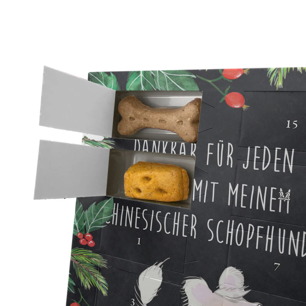 Personalisierter Hunde Foto Adventskalender Chinesischer Schopfhund Moment Personalisierter Hunde Foto Adventskalender, Geschenk, Schenken, Hund, Hunderasse, Rassehund, Hundebesitzer, Tierfreund, Welpe, Chinese Crested Dog, Chinesischer Schopfhund