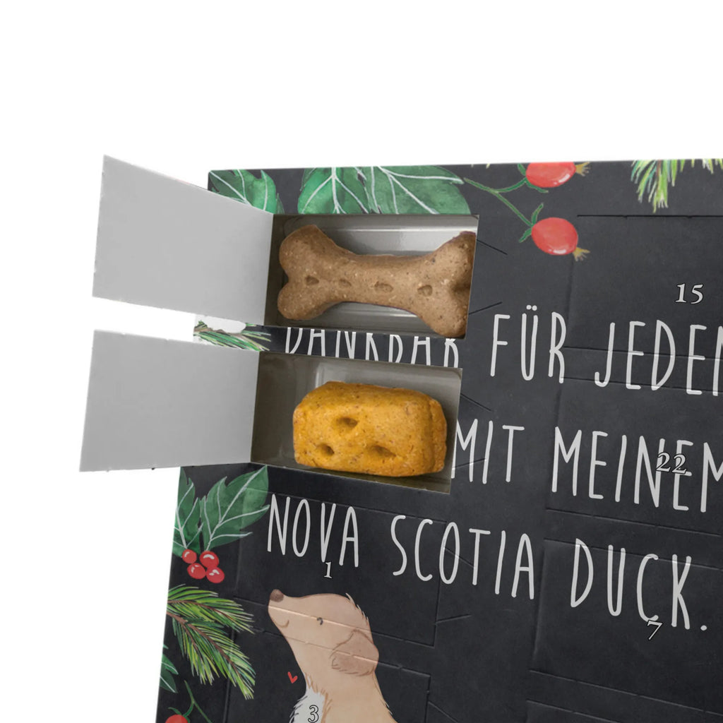 Personalisierter Hunde Foto Adventskalender Nova Scotia Duck Moment Personalisierter Hunde Foto Adventskalender, Geschenk, Schenken, Hund, Hunderasse, Rassehund, Hundebesitzer, Tierfreund, Welpe, Retriever, Nova Scotia Duck Tolling Retriever