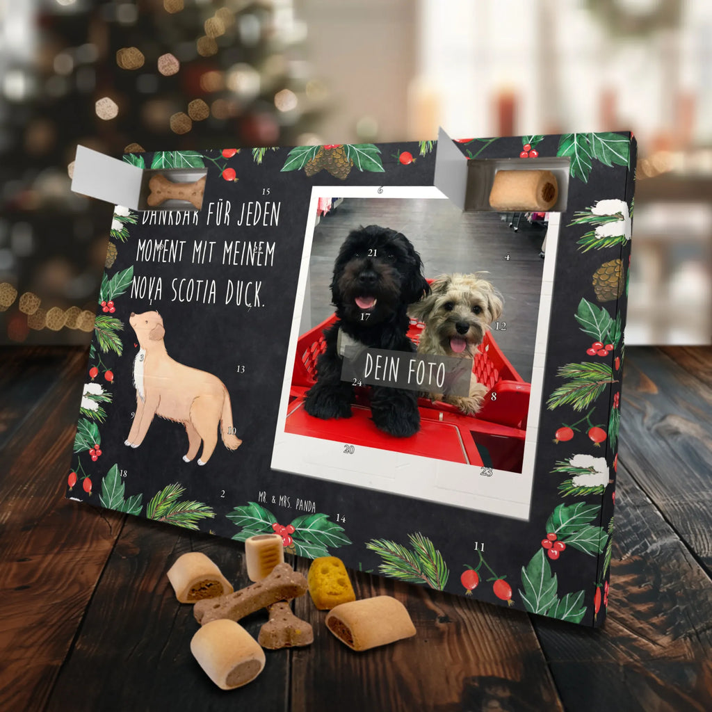 Personalisierter Hunde Foto Adventskalender Nova Scotia Duck Moment Personalisierter Hunde Foto Adventskalender, Geschenk, Schenken, Hund, Hunderasse, Rassehund, Hundebesitzer, Tierfreund, Welpe, Retriever, Nova Scotia Duck Tolling Retriever