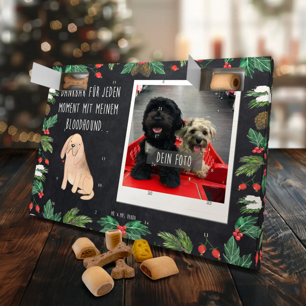 Personalisierter Hunde Foto Adventskalender Bloodhound Moment Personalisierter Hunde Foto Adventskalender, Geschenk, Schenken, Hund, Hunderasse, Rassehund, Hundebesitzer, Tierfreund, Welpe, Bloodhound, Bluthund, Chien De Saint Hubert, St. Hubertushund