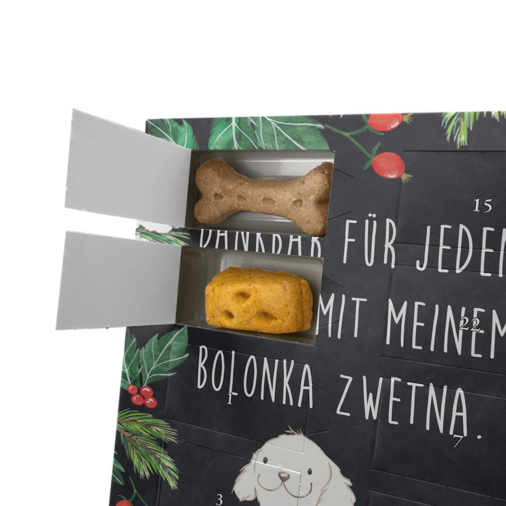 Personalisierter Hunde Foto Adventskalender Bolonka Zwetna Moment Personalisierter Hunde Foto Adventskalender, Geschenk, Schenken, Hund, Hunderasse, Rassehund, Hundebesitzer, Tierfreund, Welpe, Tsvetnaya Bolonka, Bolonka Zwetna