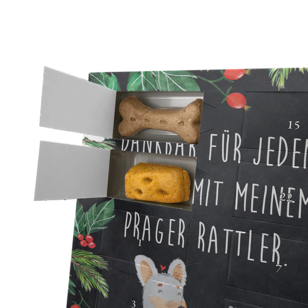 Personalisierter Hunde Foto Adventskalender Prager Rattler Moment Personalisierter Hunde Foto Adventskalender, Geschenk, Schenken, Hund, Hunderasse, Rassehund, Hundebesitzer, Tierfreund, Welpe, Pincher, Prager Rattler