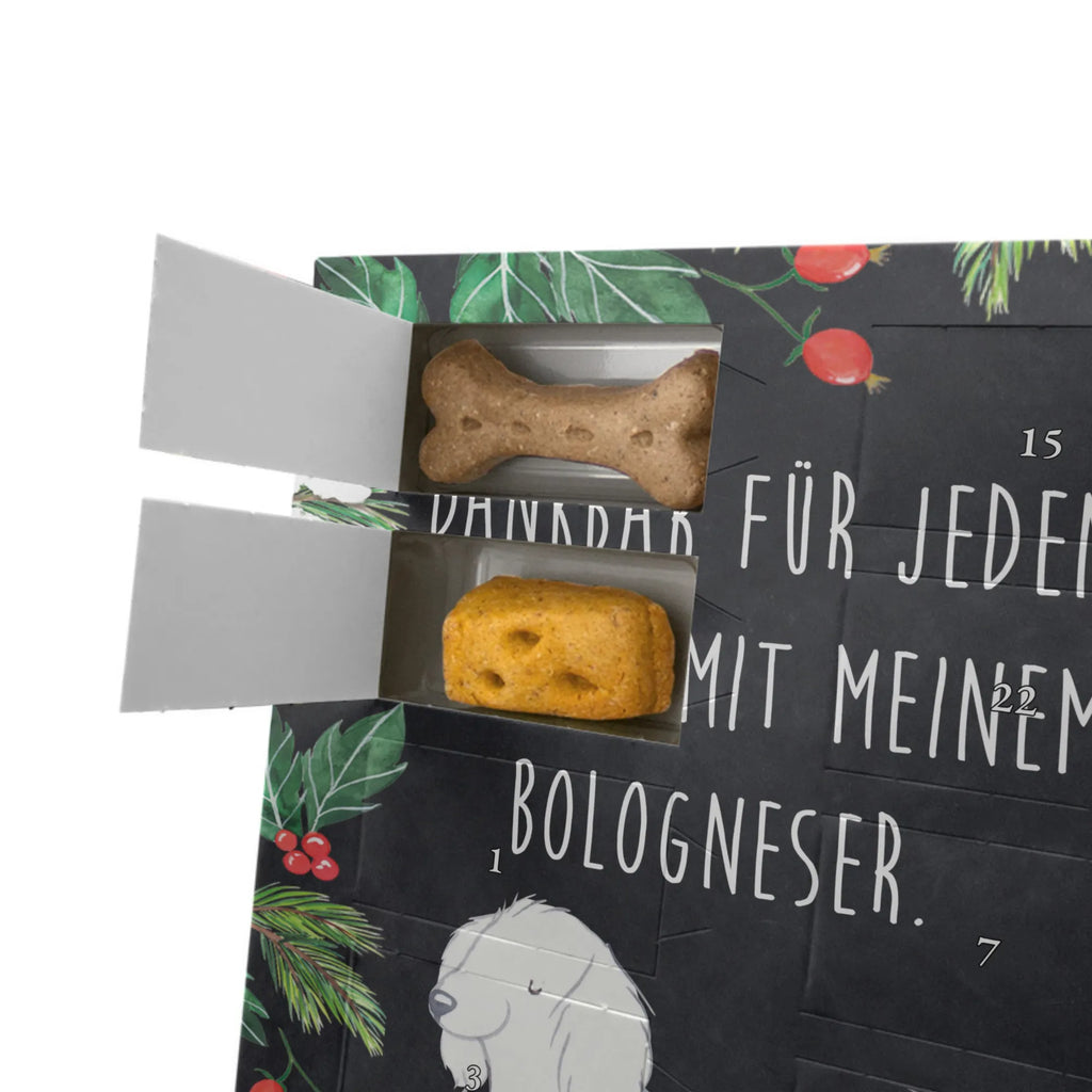 Personalisierter Hunde Foto Adventskalender Bologneser Moment Personalisierter Hunde Foto Adventskalender, Geschenk, Schenken, Hund, Hunderasse, Rassehund, Hundebesitzer, Tierfreund, Welpe, Bologneser