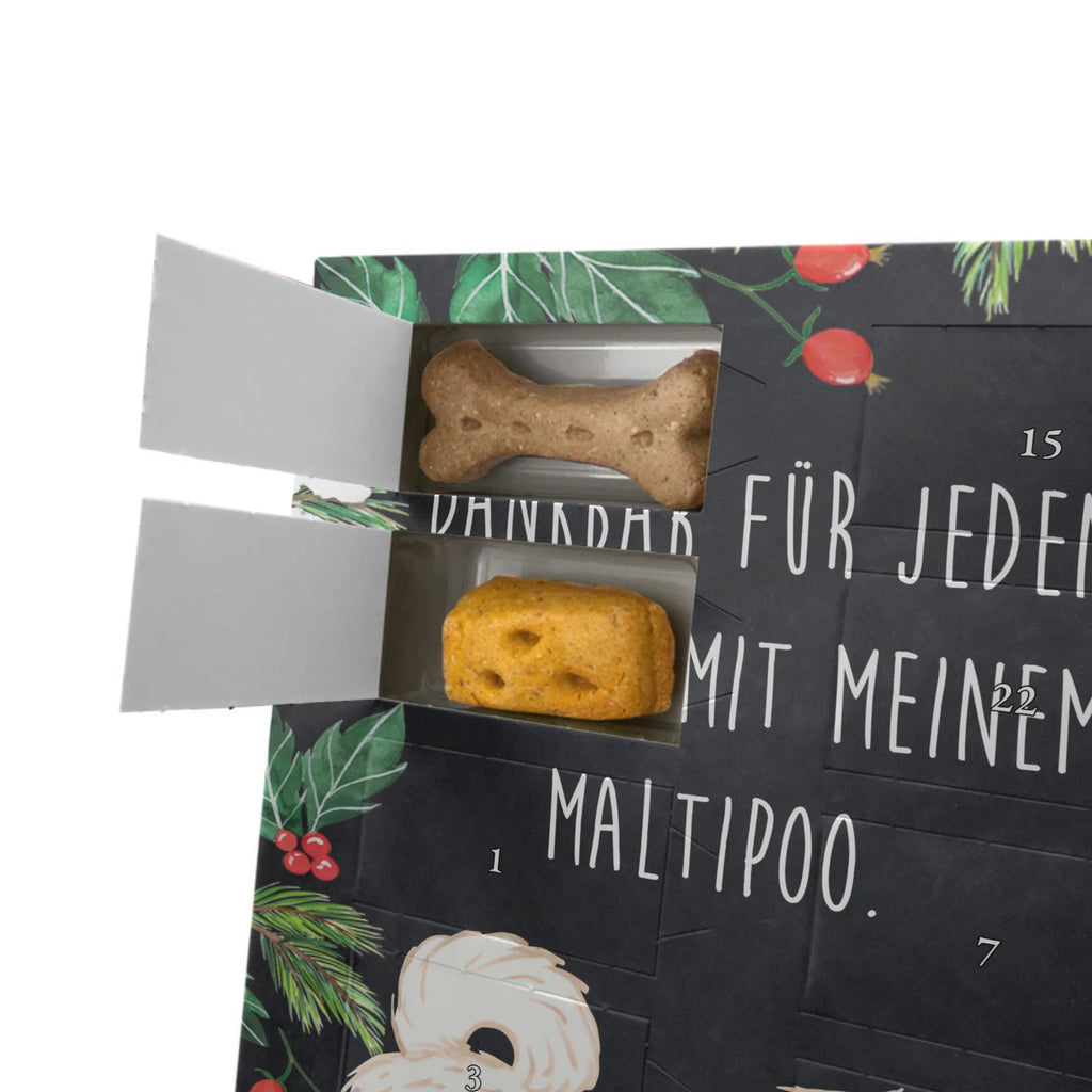 Personalisierter Hunde Foto Adventskalender Maltipoo Moment Personalisierter Hunde Foto Adventskalender, Geschenk, Schenken, Hund, Hunderasse, Rassehund, Hundebesitzer, Tierfreund, Welpe, Kreuzung, Mischling, Maltipoo
