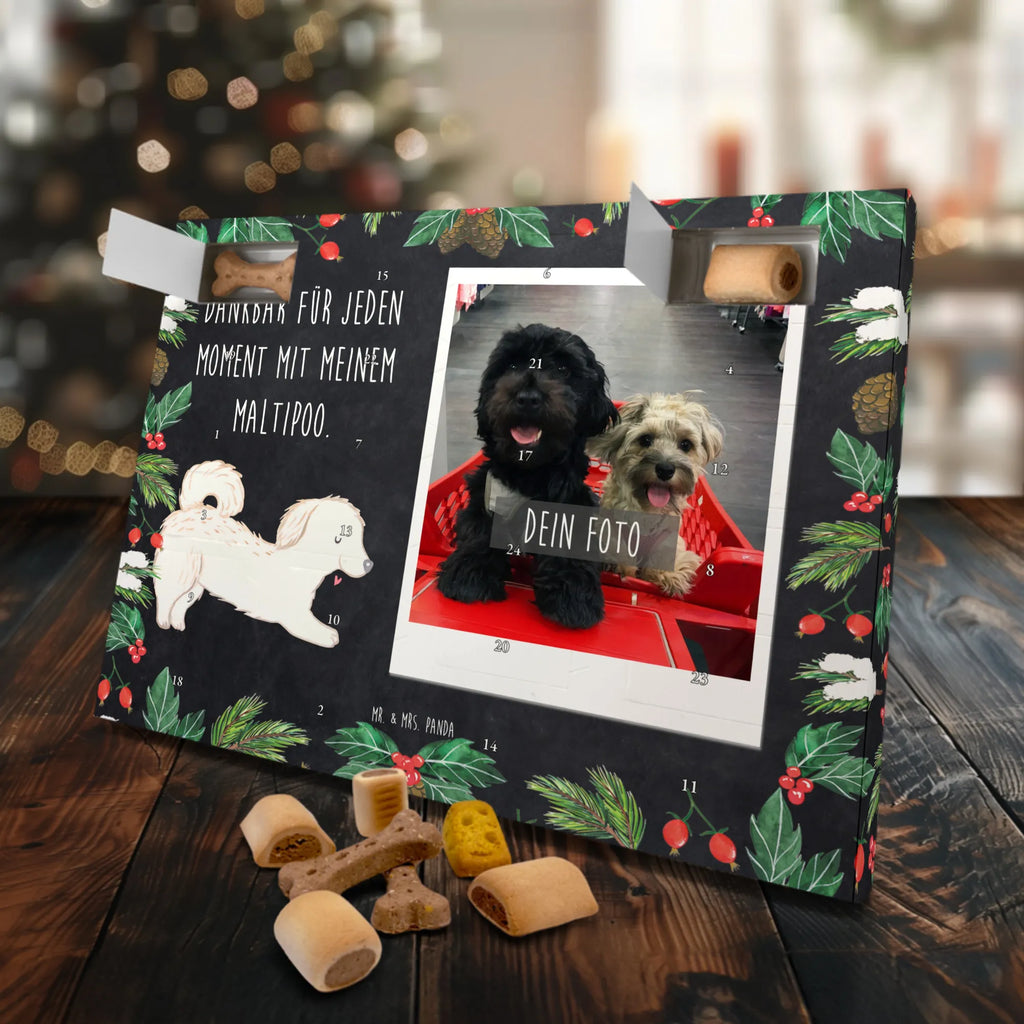 Personalisierter Hunde Foto Adventskalender Maltipoo Moment Personalisierter Hunde Foto Adventskalender, Geschenk, Schenken, Hund, Hunderasse, Rassehund, Hundebesitzer, Tierfreund, Welpe, Kreuzung, Mischling, Maltipoo