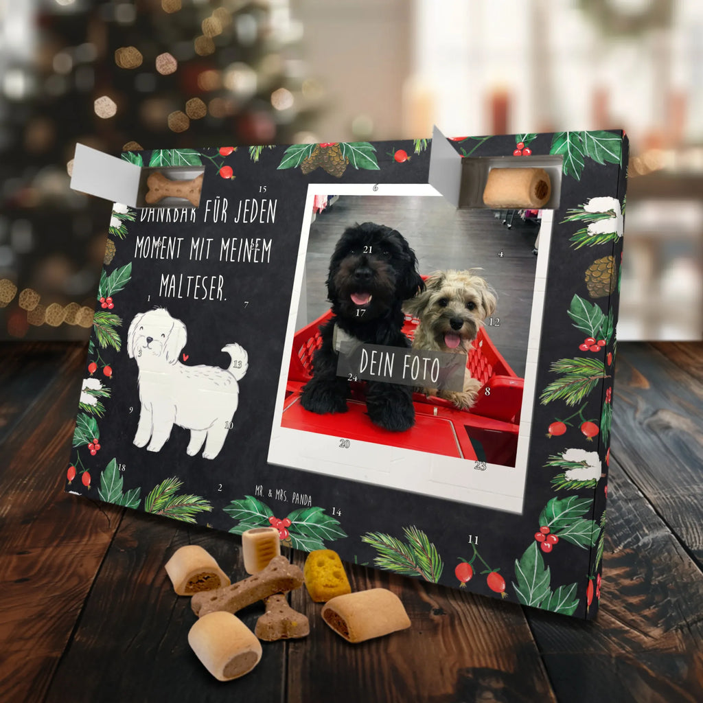 Personalisierter Hunde Foto Adventskalender Malteser Moment Personalisierter Hunde Foto Adventskalender, Geschenk, Schenken, Hund, Hunderasse, Rassehund, Hundebesitzer, Tierfreund, Welpe, Malteser