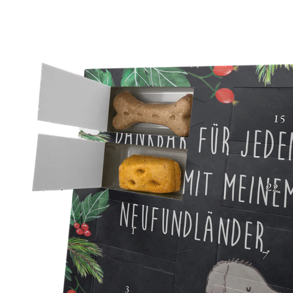 Personalisierter Hunde Foto Adventskalender Neufundländer Moment Personalisierter Hunde Foto Adventskalender, Geschenk, Schenken, Hund, Hunderasse, Rassehund, Hundebesitzer, Tierfreund, Welpe, Neufundländer, Newfoundland