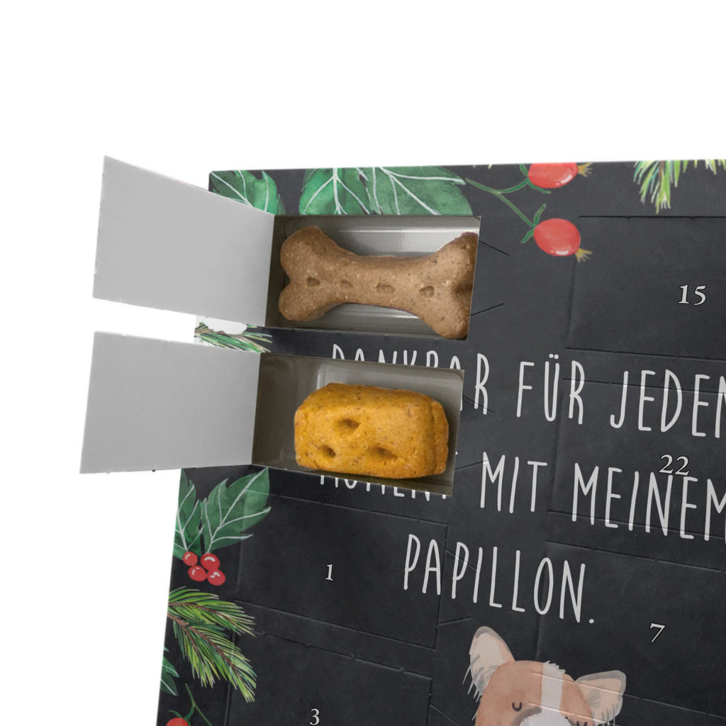 Personalisierter Hunde Foto Adventskalender Papillon Moment Personalisierter Hunde Foto Adventskalender, Geschenk, Schenken, Hund, Hunderasse, Rassehund, Hundebesitzer, Tierfreund, Welpe, Papillon, Kontinentaler Zwergspaniel