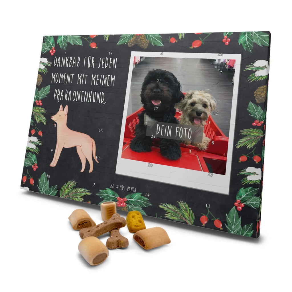 Personalisierter Hunde Foto Adventskalender Pharaonenhund Moment Personalisierter Hunde Foto Adventskalender, Geschenk, Schenken, Hund, Hunderasse, Rassehund, Hundebesitzer, Tierfreund, Welpe, Pharaoh Hound, Pharaonenhund, Kelb Tal-Fenek