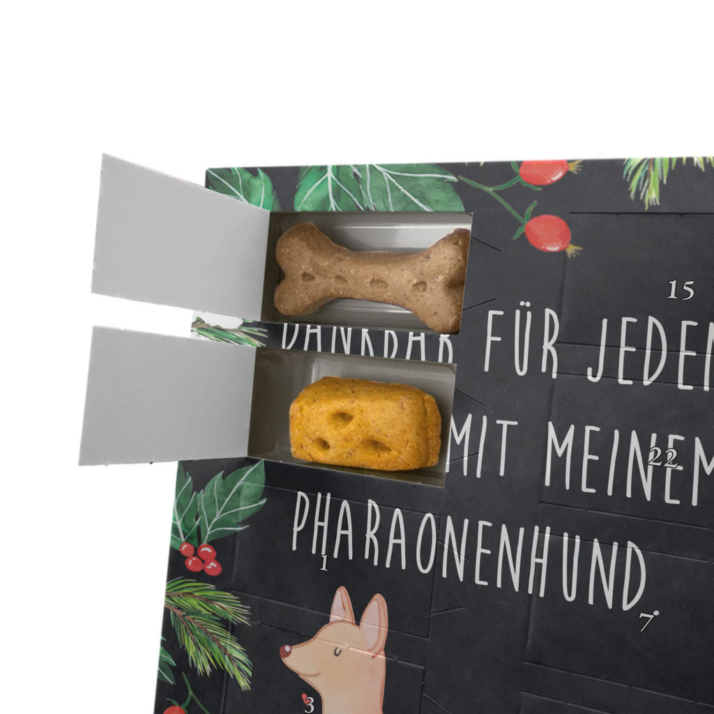 Personalisierter Hunde Foto Adventskalender Pharaonenhund Moment Personalisierter Hunde Foto Adventskalender, Geschenk, Schenken, Hund, Hunderasse, Rassehund, Hundebesitzer, Tierfreund, Welpe, Pharaoh Hound, Pharaonenhund, Kelb Tal-Fenek