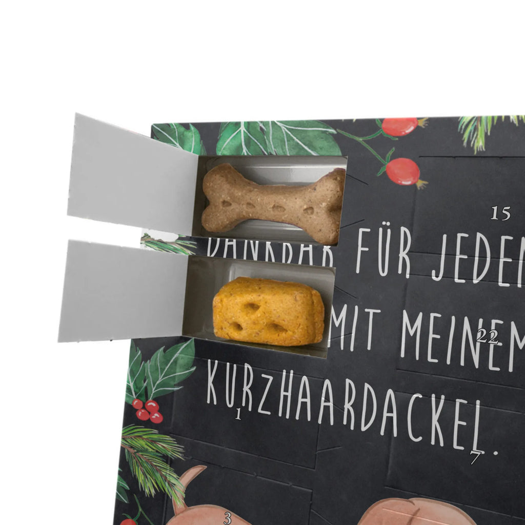 Personalisierter Hunde Foto Adventskalender Dackel Kurzhaardackel Moment Personalisierter Hunde Foto Adventskalender, Geschenk, Schenken, Hund, Hunderasse, Rassehund, Hundebesitzer, Tierfreund, Welpe, Teckel, Dachshund, Kurzhaardackel