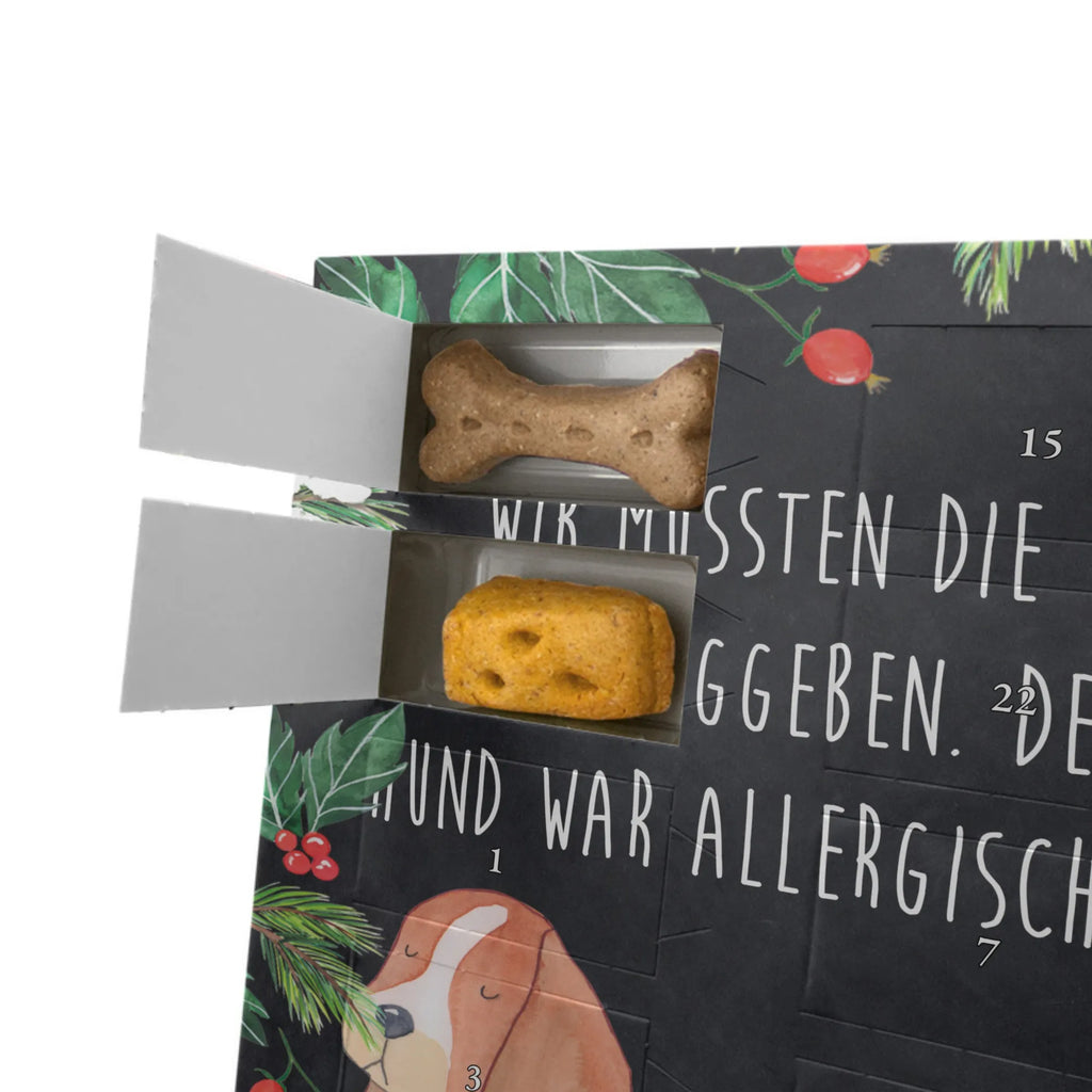 Personalisierter Hunde Foto Adventskalender Hund Basset Hound Personalisierter Hunde Foto Adventskalender, Sprüche, Hund, Hunderasse, Hundebesitzer, Hundemotiv, Haustier, Tierliebhaber, Basset Hound, Basset, Kinderlos, Hundeliebe