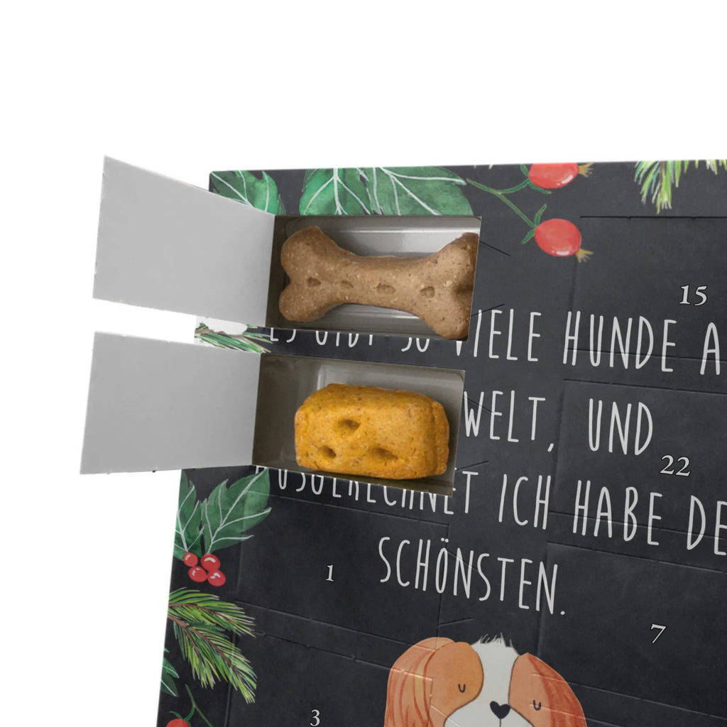 Personalisierter Hunde Foto Adventskalender Hund Cavalier King Charles Spaniel Personalisierter Hunde Foto Adventskalender, Sprüche, Hund, Hunderasse, Hundebesitzer, Hundemotiv, Haustier, Tierliebhaber, Spaniel, Schönster Hund, Spruch, Cavalier King Charles Spaniel, Cockerspaniel