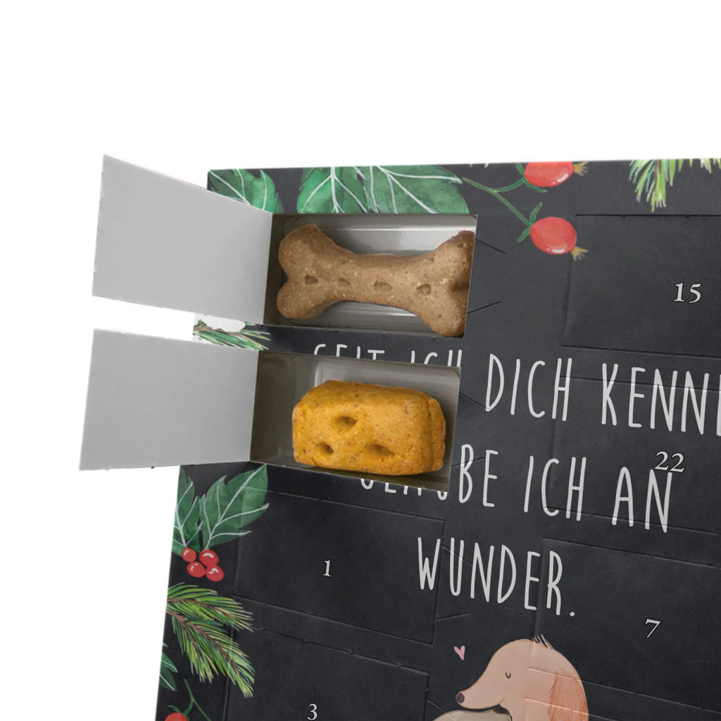 Personalisierter Hunde Foto Adventskalender Hunde Liebe Personalisierter Hunde Foto Adventskalender, Sprüche, Hund, Hunderasse, Hundebesitzer, Hundemotiv, Haustier, Tierliebhaber, Herz, Kuss, Kuscheln, Vertrauen, Liebe, Hund. Hunde