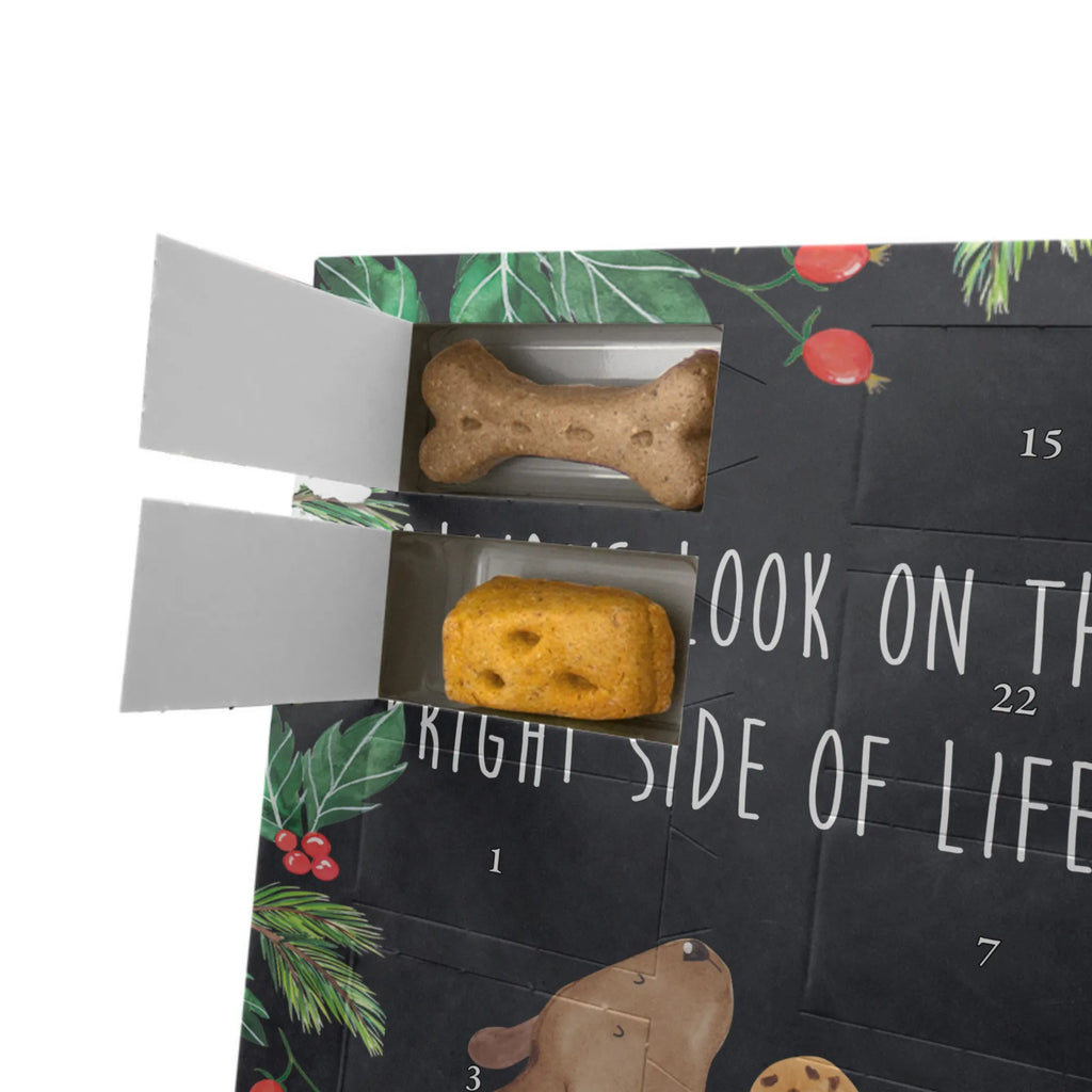Personalisierter Hunde Foto Adventskalender Hund Keks Personalisierter Hunde Foto Adventskalender, Sprüche, Hund, Hunderasse, Hundebesitzer, Hundemotiv, Haustier, Tierliebhaber, Hundeleckerli, Hundekekse, Hundesnacks, Leckerli
