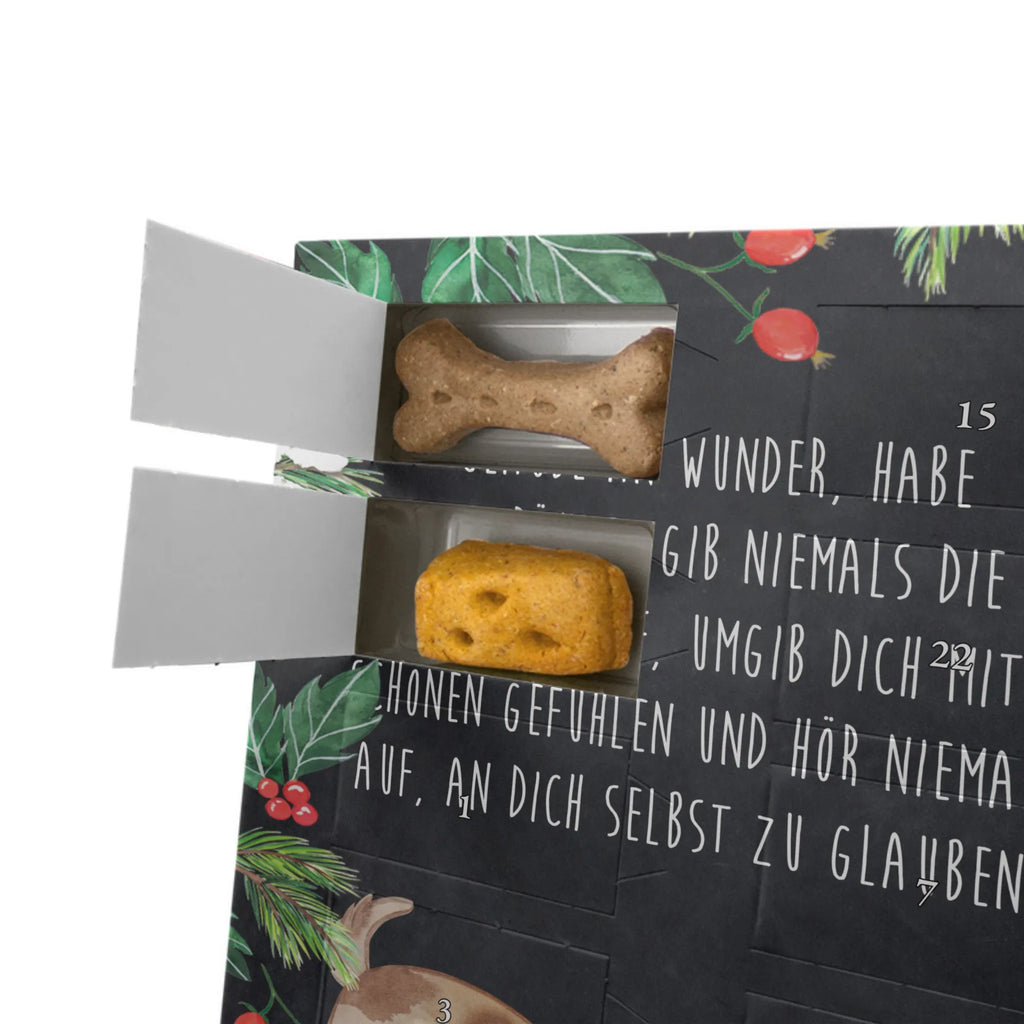 Personalisierter Hunde Foto Adventskalender Hund Marienkäfer Personalisierter Hunde Foto Adventskalender, Sprüche, Hund, Hunderasse, Hundebesitzer, Hundemotiv, Haustier, Tierliebhaber, Mischlinghund, Marienkäfer, Hunde, Hundespruch, Mischling