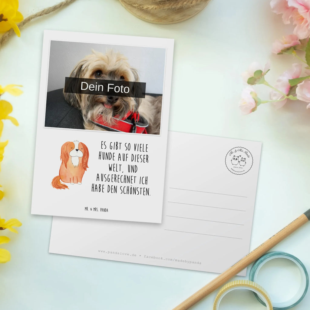 Personalisierte Foto Postkarte Hund Cavalier King Charles Spaniel Personalisierte Foto Postkarte, Hund, Hundemotiv, Haustier, Hunderasse, Tierliebhaber, Hundebesitzer, Sprüche, Spruch, Cavalier King Charles Spaniel, schönster Hund, Cockerspaniel, Spaniel