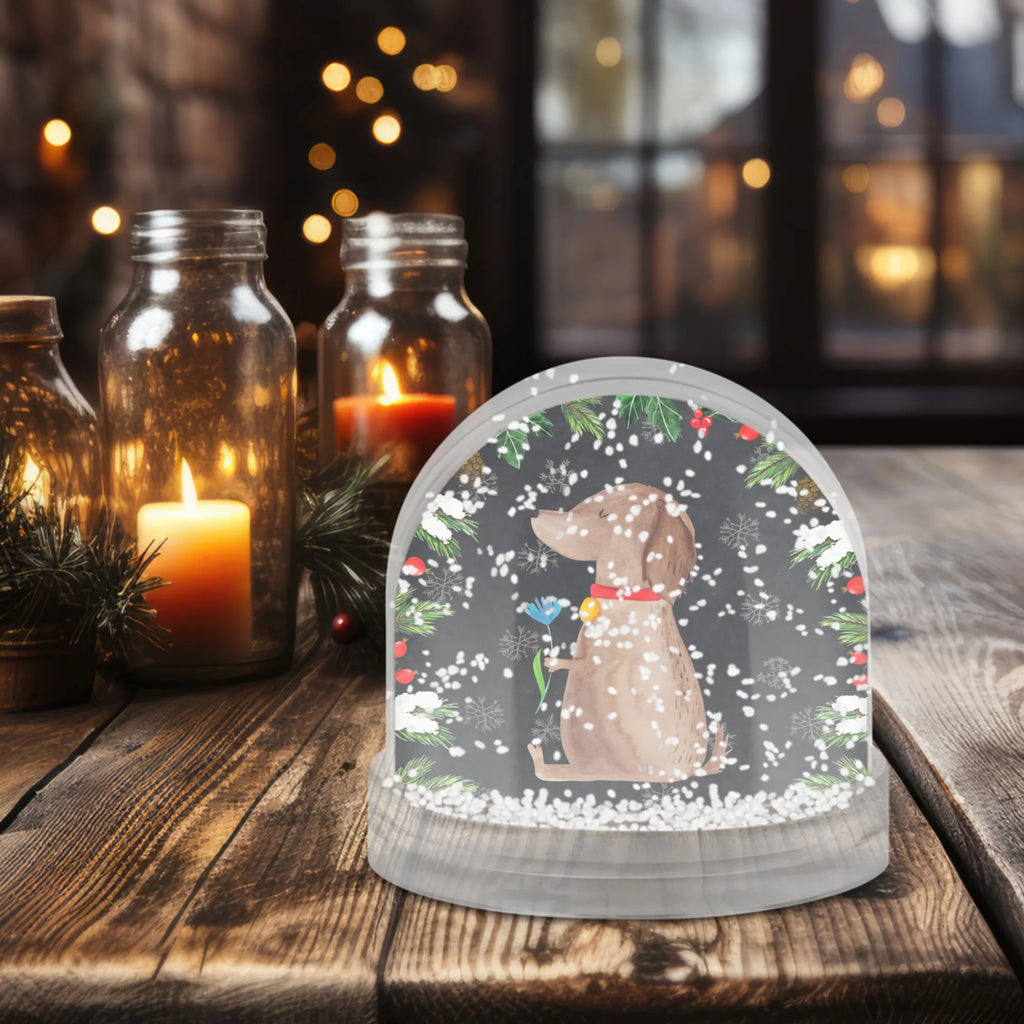 Snow globe Dog flower Deko Schneekugel, Schneekugel Für Weihnachten, Schneekugel Mit Motiv, Schneekugel Weihnachten, Schneekugel Mit Spieluhr, Schüttelkugel, Schneekugel Mit Tiermotiv, Schneekugel Mit Stadtmotiv, Mini Schneekugel, Weihnachtskugel, Schneekugel Für Deko, Schneekugel Klassisch, Schneekugel Mit Engel, Schneekugel Mit Figur, Schneekugel Handgemacht, Schneekugel Mit Schnee-Effekt, Schneekugel Für Erwachsene, Winterdeko Kugel, XXL Schneekugel, Schneekugel Mit Schneemann, Schneekugel Für Advent, Schneekugel Mit Weihnachtsmann, Schneekugel Romantisch, Schneekugel Klein, Schneekugel Für Sammler, Schneekugel Aus Glas, Schneekugel Als Geschenk, Schneekugel Mit Musik, Schneekugel Vintage, Schneekugel Mit Tannenbaum, Geschenkidee Schneekugel, Schneekugel Für Kinder, Schneekugel Aus Kunststoff, Schneekugel, Schneekugel Modern, Schneekugel Mit Herz, Winterkugel, Schneekugeln, Schneekugel Mit Licht, Schneekugel Nostalgisch, Schneekugel Mit Glitzer, Schneekugel Groß, Schneekugel Mit Haus, Glaskugel Mit Schnee, Hund, Hundemotiv, Haustier, Hunderasse, Tierliebhaber, Hundebesitzer, Sprüche, Hunde, Hundeliebe, Frauchen