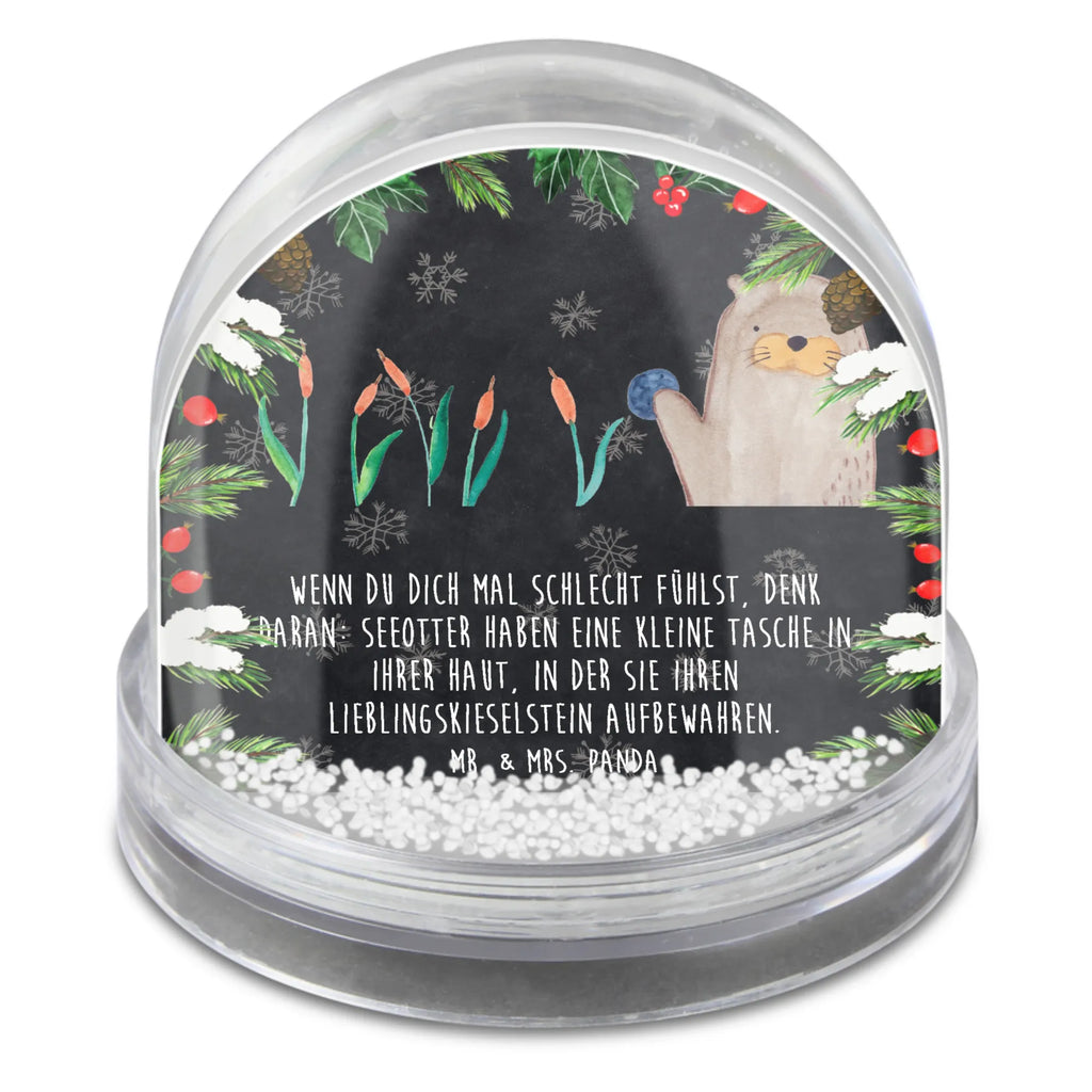 schneekugeln aufbewahren Schneekugel Otter Stein, Pflanzen, schnee kugel, Fun Facts, Seeotter