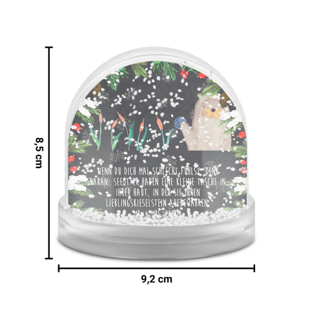 schneekugeln aufbewahren Schneekugel Otter Stein, Pflanzen, schnee kugel, Fun Facts, Seeotter