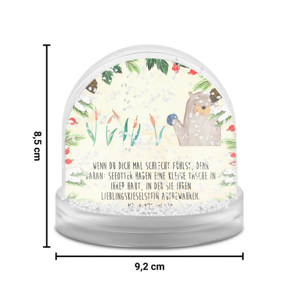 schneekugeln aufbewahren Schneekugel Otter Stein, Pflanzen, schnee kugel, Fun Facts, Seeotter