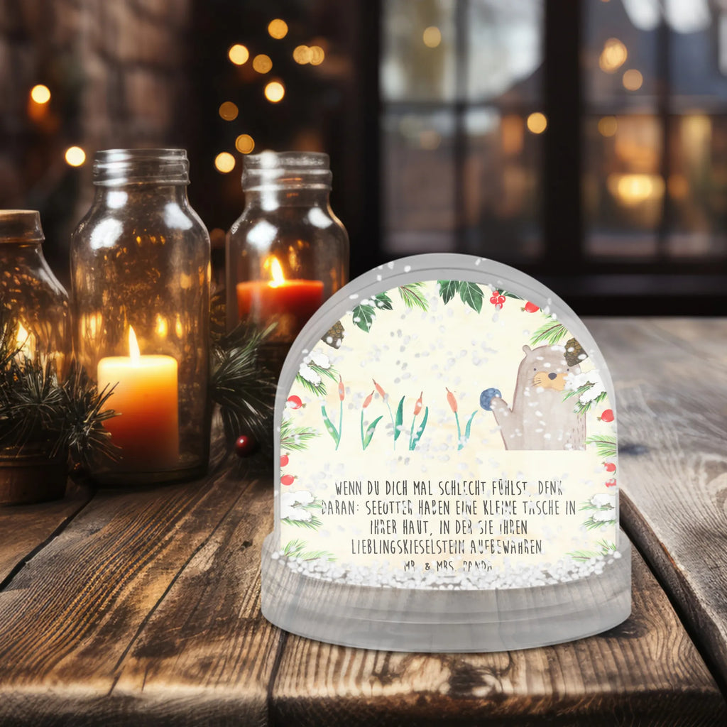 schneekugeln aufbewahren Schneekugel Otter Stein, Pflanzen, schnee kugel, Fun Facts, Seeotter