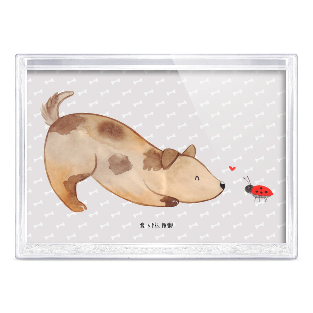 shake frame Dog ladybug Hund, Hundemotiv, Haustier, Hunderasse, Tierliebhaber, Hundebesitzer, Sprüche, Hunde, Hundespruch, Marienkäfer, Mischling, Mischlinghund